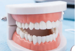 2022哈尔滨牙齿矫正哪个医生专业？附擅长矫正项目、学位介绍